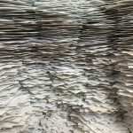 christa-dodoo-MldQeWmF2_g-unsplash